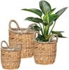 Scheurich Blumentopf Ø 26 cm Wasserhyazinte natur mit zwei Griffen Bild 3