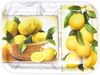 Lashuma Tablett Zitrusbaum, (1-tlg), Italienisches Melamin Dekotablett 45x31 cm gelb weiß Bild 5