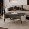 Lookway Couchtisch AUTUMN mit verschließbarem Fach unter der Tischplatte Bild 3