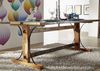 Esstisch Altholz 200x100x76 mehrfarbig lackiert NATURE OF SPIRIT #12 Bild 4