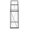 vidaXL Gewächshaus mit Fundamentrahmen Anthrazit 169x58x195 cm Alu 4005818 Bild 4