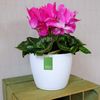 KAGM Blumentopf Übertopf Pflanztopf Rillenoptik Kunststoff UV-beständig Bild 3