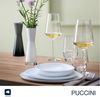 LEONARDO Weißweinglas Gläser-Set PUCCINI + Poliertuch, 7-teilig, Kristallglas, 6 Weisswein Gläser mit Poliertuch Bild 3