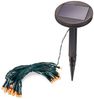 esotec LED-Lichterkette 24 bernstein-LEDs 2,3m LED Kette, 2m Zuleitung Weihnachtsdeko 102172 Bild 2