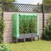 vidaXL Hochbeet mit Gewächshaus-Aufsatz Rattan-Optik 120x40x140 cm 4015862 Bild 3