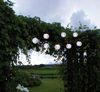LED-Solarlichterkette "Ball White",10teilig Bild 2