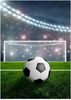 Wohndecke Fußball Fleecedecke Schmusedecke Kuscheldecke 100 x 140 cm, BrandMac Bild 3