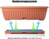 BigDean 3x Blumenkasten Balkon mit Untersetzer - Terracotta 50 cm Balkonkasten Pflanzkasten Blumenkasten mit Wasserspeicher für Innen- & Außenbereich geeignet - Made in Europe Bild 5