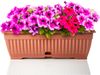 BigDean 3x Blumenkasten Balkon mit Untersetzer - Terracotta 50 cm Balkonkasten Pflanzkasten Blumenkasten mit Wasserspeicher für Innen- & Außenbereich geeignet - Made in Europe Bild 3