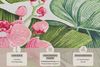 Hanse Home Tropical In- & Outdoor Teppich – Flachgewebe Aussenteppich, Jungel Florales Palmen Design, ÖKO-TEX Wetterfest & UV-beständig für Balkon, Terrasse, Garten, Wohnzimmer - Bunt, 120x180 cm Bild 2