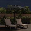 vidaXL Sonnenschirm mit LED-Leuchten und Stahlmast 300 cm Anthrazit 44511 Bild 3