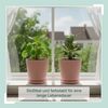 Relaxdays Blumentopf mit Untersetzer 2er Set Bild 3