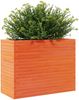 vidaXL Pflanzkübel Wachsbraun 90x40x68,5 cm Massivholz Kiefer 3282491 Bild 4