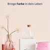 Peill+Putzler Germany 4er Set Longdrinkgläser mit buntem Boden, 300 ml Volumen, mehrfarbige Trinkgläser, Wassergläser in 6 Farben, Coctailgläser, spühlmaschinengeeignet & pflegeleicht Bild 5