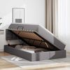 vidaXL Bett mit Stauraum und LED mit LED Grau 120 x 200 cm Kunstleder 3371027 Bild 4