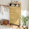 Schuhschrank Schuhregal, hoch schmal,Mitr 3 Klappen und zusätzlichen Fächern, Höhe 147 cm Bild 5