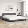 Doppelbett, Bettgestell Modernen mit LED ohne Matratze Grau 200x200 cm d1412e Bild 4