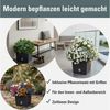 Prosperplast Blumentopf Rato Low DRTS265L, inkl. Bewässerungssystem & Pflanzeinsatz, Rattanoptik, eckig Bild 3