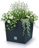 Prosperplast Blumentopf Rato Low DRTS265L, inkl. Bewässerungssystem & Pflanzeinsatz, Rattanoptik, eckig Bild 2