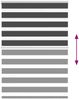 vidaXL Doppelrollo Schwarz 110x150 cm Stoffbreite 105,9 cm Polyester 4014237 Bild 5