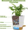 Homeuouz 6er Pack Blumentopf Selbstbewässernd Set 20.3-12.7cm Bild 3