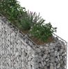 vidaXL Gabionen Hochbeet 3 pcs Silber 250 x 50 x 150 cm 3422235 Bild 4