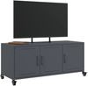 vidaXL TV-Schrank Anthrazit 100,5x39x43,5 cm Stahl 846646 Bild 5