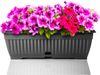 BigDean 3x Blumenkasten Balkon mit Untersetzer - Anthrazit 50 cm Balkonkasten Pflanzkasten Blumenkasten mit Wasserspeicher für Innen- & Außenbereich geeignet - Made in Europe Bild 3