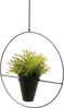 DanDiBo Blumenampel Innen Metall Wand Schwarz Matt Hängepflanzen Ø 40 cm KW446 mit Topf Pflanzenhänger Blumenhänger Topfhänger Blumen Blumentopfhänger Hängetopf Bild 3