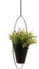 DanDiBo Blumenampel Innen Metall Wand Schwarz Matt Hängepflanzen Ø 40 cm KW446 mit Topf Pflanzenhänger Blumenhänger Topfhänger Blumen Blumentopfhänger Hängetopf Bild 5