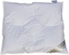 Betten Hofmann Baby Ganzjahres Daunenbett 80x80 Babydaunendecke 100% Daunen Bild 2
