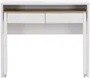 Vente-unique - LOAVIA Büromöbel Holz, Platte BeigeWeiß - B 40 cm x H 87 cm x L 100 cm Bild 5