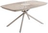 Dehner Gartentisch Barcelona, bis zu 6 Sitzplätze, 160 x 76 x 90 cm, Metall / Kunststoff, ovaler Outdoor-Tisch in modernem Design Bild 2