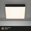 Briloner Leuchten - LED Deckenlampe rahmenlos, LED Deckenleuchte, LED Aufbauleuchte, warmweiße Farbtemperatur, 212 x 212 x 36 mm, Schwarz Bild 3