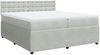 vidaXL Boxspringbett mit Matratze Hellgrau 200x200 cm Samt 3290142 Bild 3