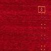 Gabbeh Teppich - Indus »Fenth« 300 x 200 cm - dunkelrot Bild 4