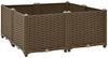 vidaXL Hochbeet 80x80x38 cm Polypropylen 316525 Bild 2