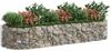 vidaXL Gabionen-Hochbeet Verzinktes Eisen 300x100x50 cm 152041 Bild 3
