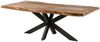 Baumtisch Sheesham 200x100x77 natur sandgestrahlt / Kreuzgestell anthrazit matt FREEFORM 5 Bild 1