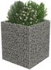 vidaXL Gabionen-Hochbeet Verzinkter Stahl 90×90×100 cm 143556 Bild 4