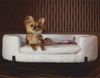 Casa Padrino Luxus Hundebett Weiß / Schwarz 84 cm - Luxus Hundemöbel Bild 3
