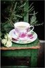 Maxwell & Williams JY0038 Becher Rose FLORIADE Bone China Porzellan, in Geschenkbox Bild 2