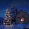 LED-Lichterkette 30er außen Toplampen klar 8 V/0,1 W LED-Toplampen E 10, klar Bild 3