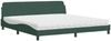 vidaXL Bett mit Matratze "Dover" Dunkelgrün 200x200 cm Samt 3208474 Bild 2