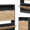 Schuhkipper Luca Anthrazit/Goldkraft Eiche 59 x 89.5 cm mit 2 Fächern Vicco Bild 5