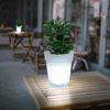 2er Set LED Solarleuchte, Blumentopf, weiß-satiniert, 17 cm Bild 5