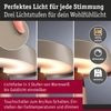 Akkuleuchte Lirox IP44 White Switch Champagner, Schwarz Bild 3