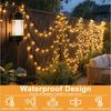 FIVMEN LED Solarleuchte Solar Lichterkette Außen, LED Solarlichterkette Warmweiß, 13 Modi Lichter mit Fernbedienung für Garten Party Balkon Terrasse Bild 2