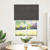 vidaXL Plissee Schwarz 95x100 cm Stoffbreite 94,4 cm Polyester 4015125 Bild 2