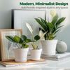 T4U 16cm Kunststoff Blumentopf mit Untersetzer, 6er-Set Weiß für Sukkulenten Bild 5